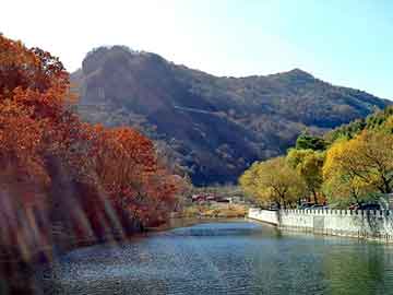 大三巴一肖二码最准，凉山物流